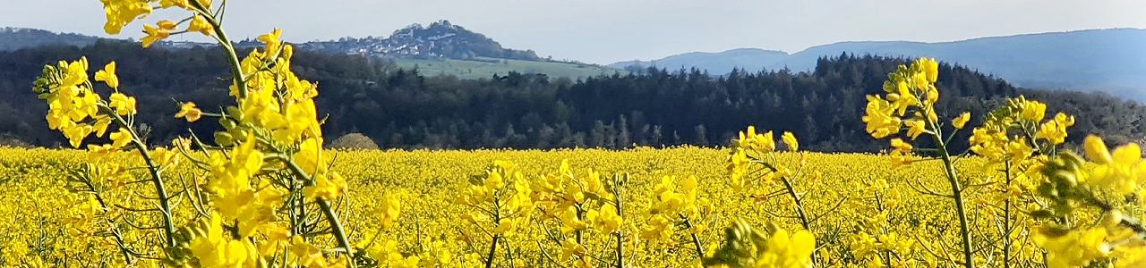 Pflegeteam Eule GmbH